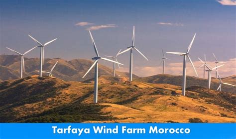 windfinder tarfaya|Windguru .